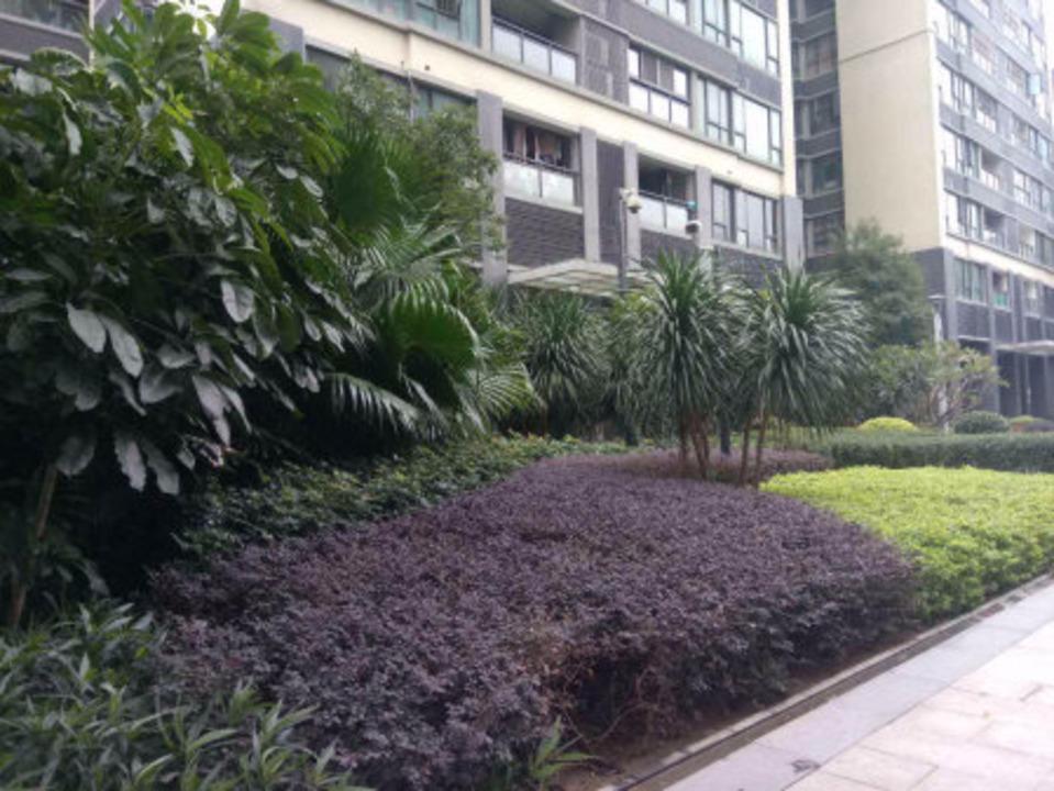 佛山南海万科广场三期二手房房源图片
