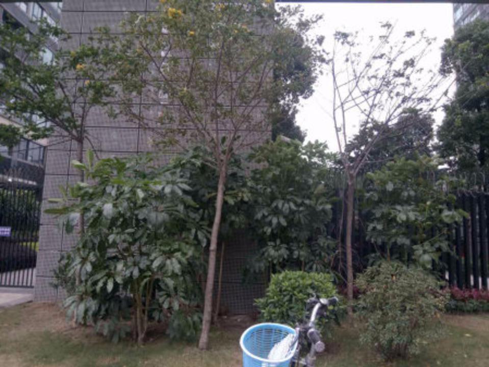 佛山南海万科广场三期二手房房源图片