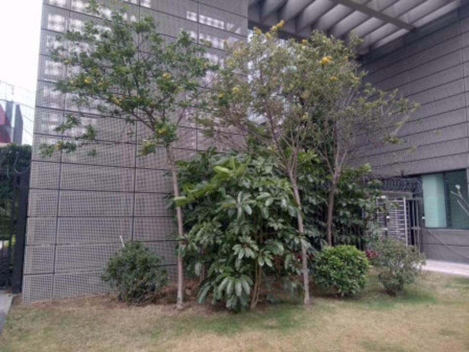 佛山南海万科广场三期二手房房源图片