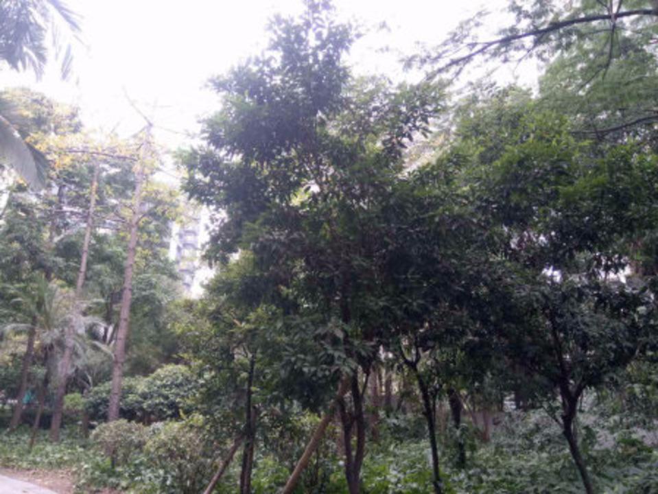 佛山江南名居锦苑二手房房源图片