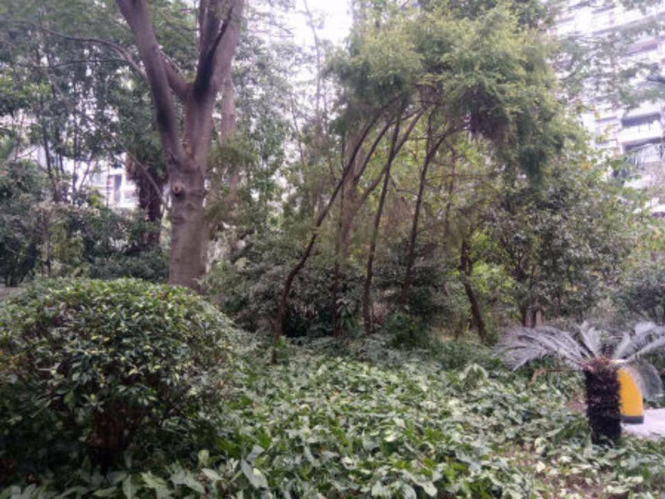 佛山江南名居锦苑二手房房源图片