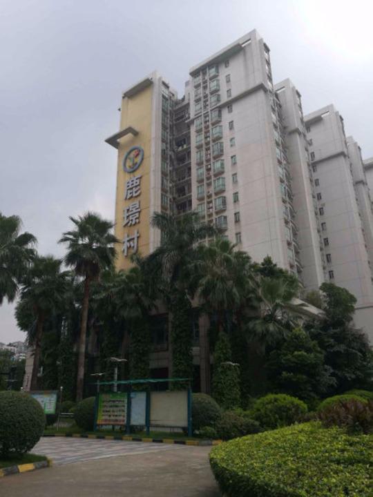 佛山鹿璟村二手房房源图片