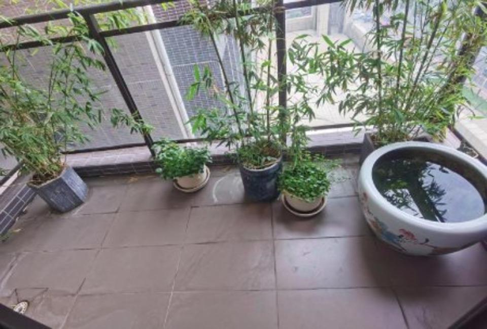 佛山时代名著二手房房源图片