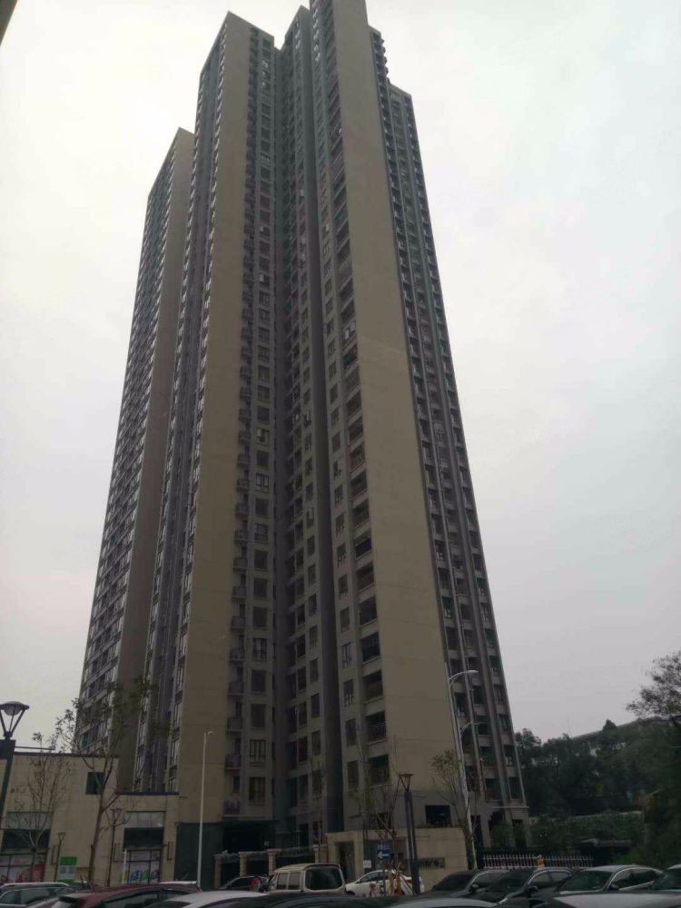 佛山南海万科广场三期二手房房源图片