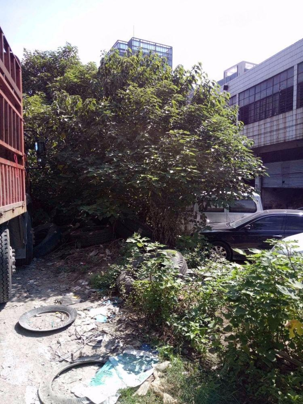 佛山海伦堡海汇广场二手房房源图片