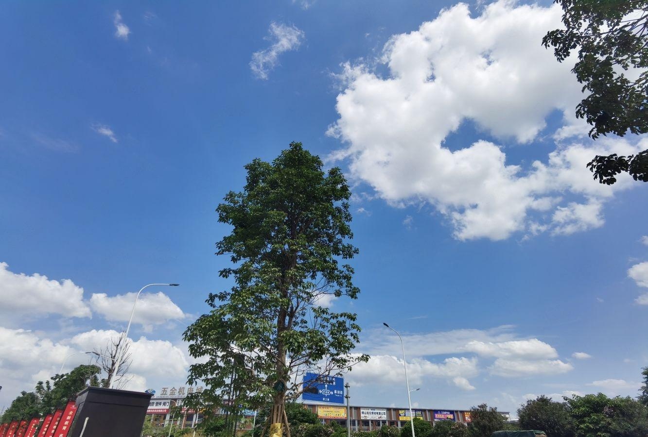 佛山绿城桂语映月二手房房源图片