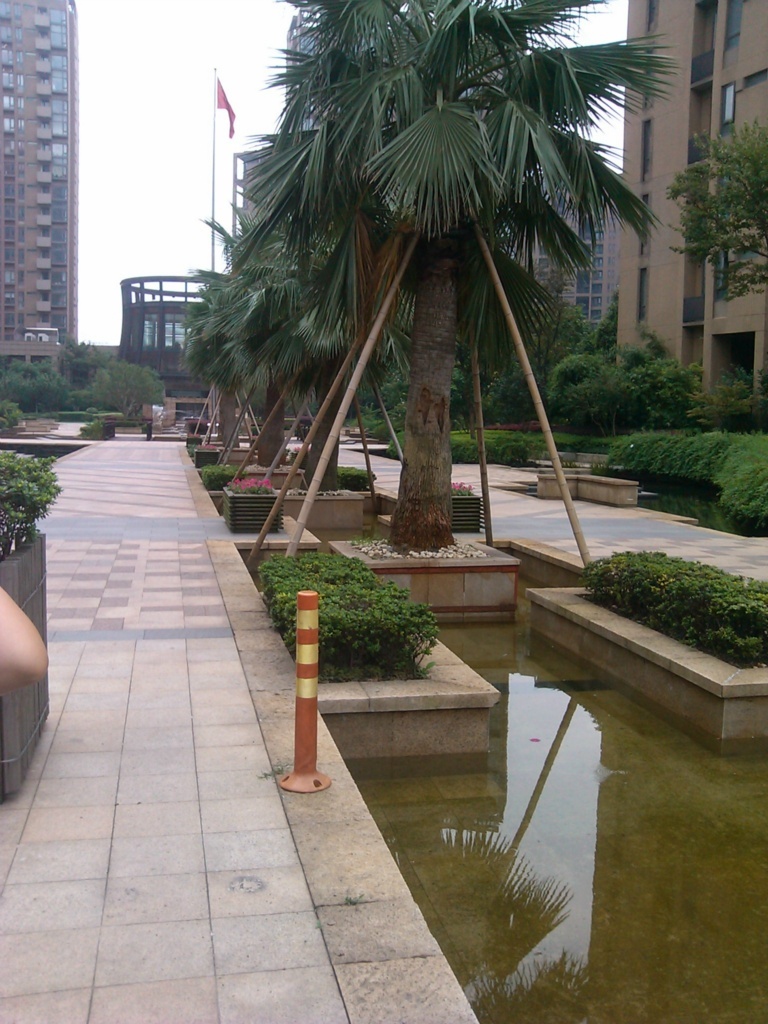 东海水景城