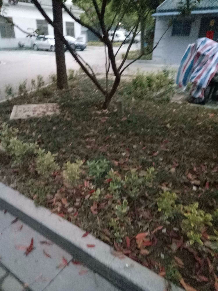 苏州吴逸花园二手房房源图片