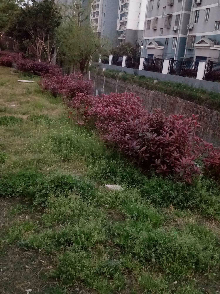 苏州吴逸花园二手房房源图片