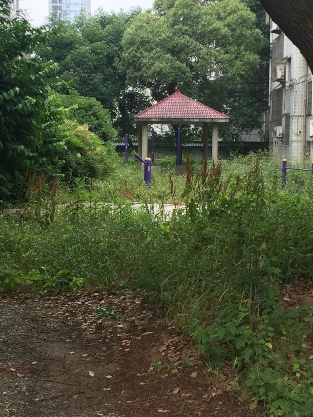 苏州龙港花苑二手房房源图片