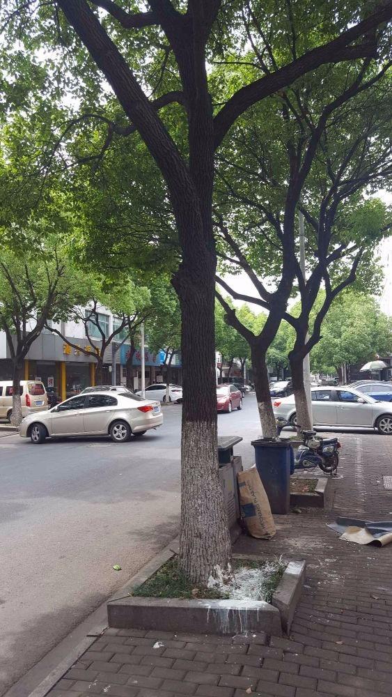 苏州月浜东公寓二手房房源图片