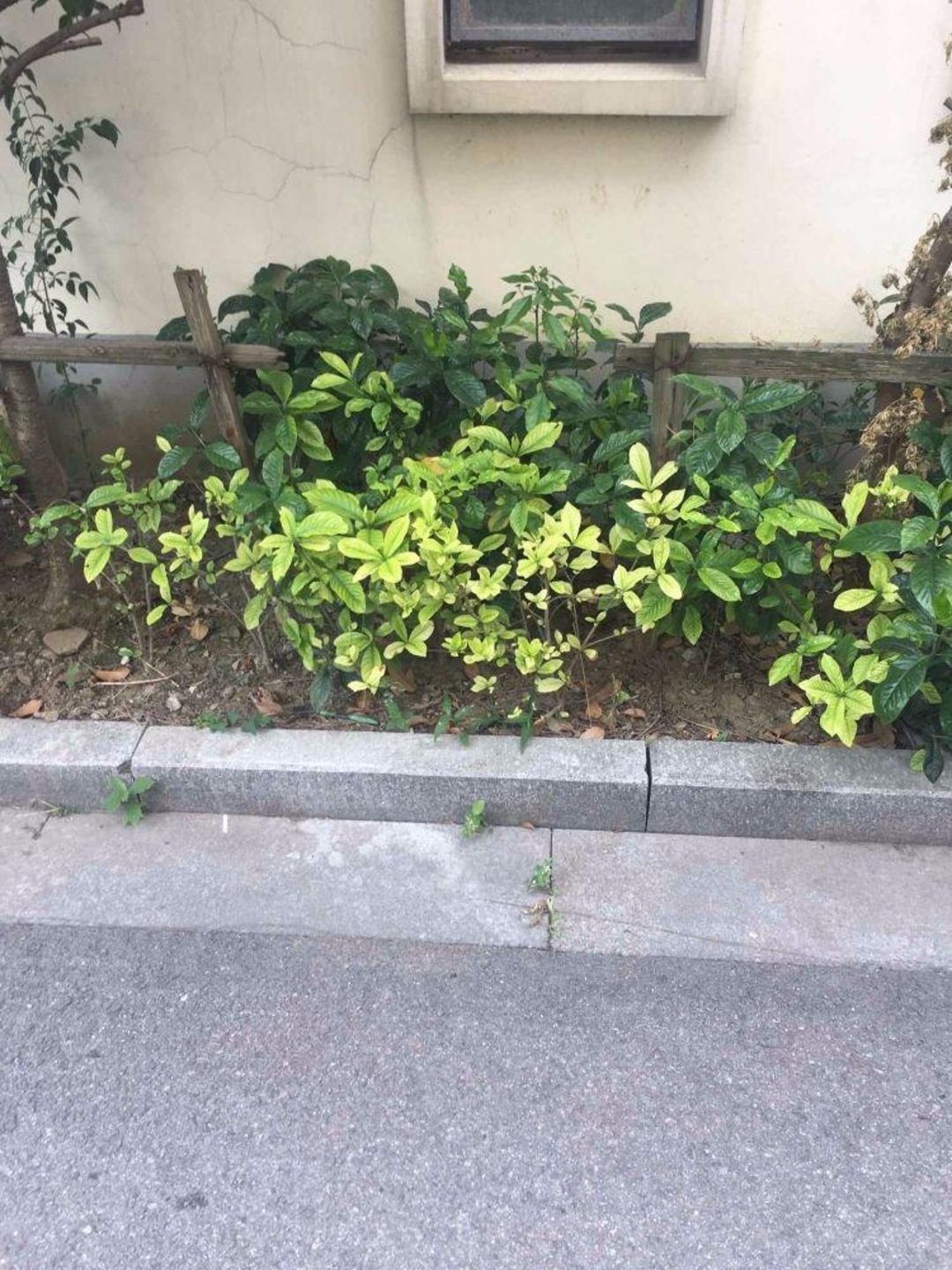 苏州苏苑二村吴城仕家二手房房源图片