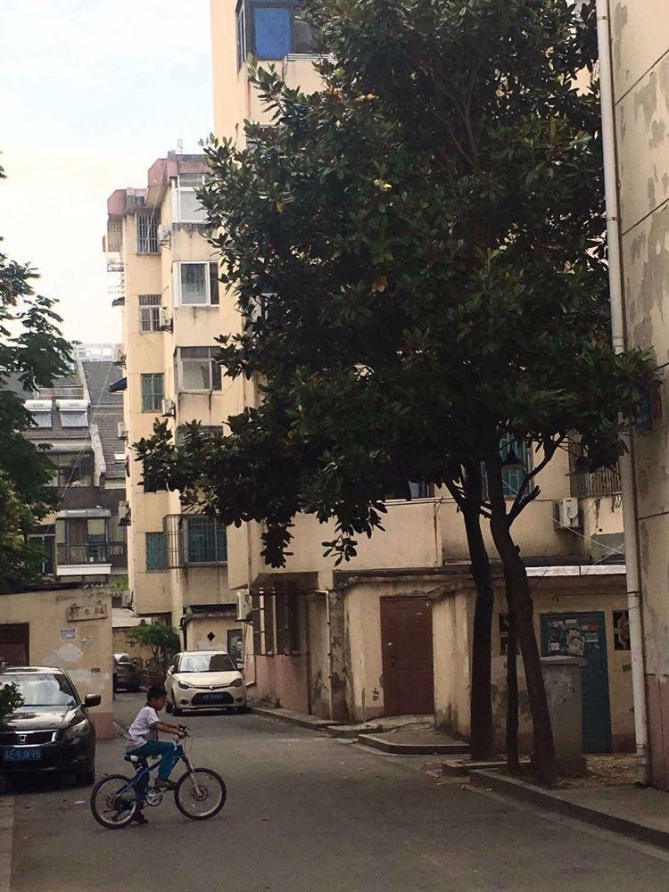 苏州苏苑新村(北区)二手房房源图片