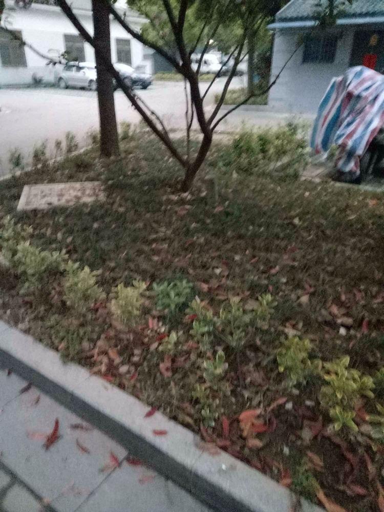 苏州吴逸花园二手房房源图片