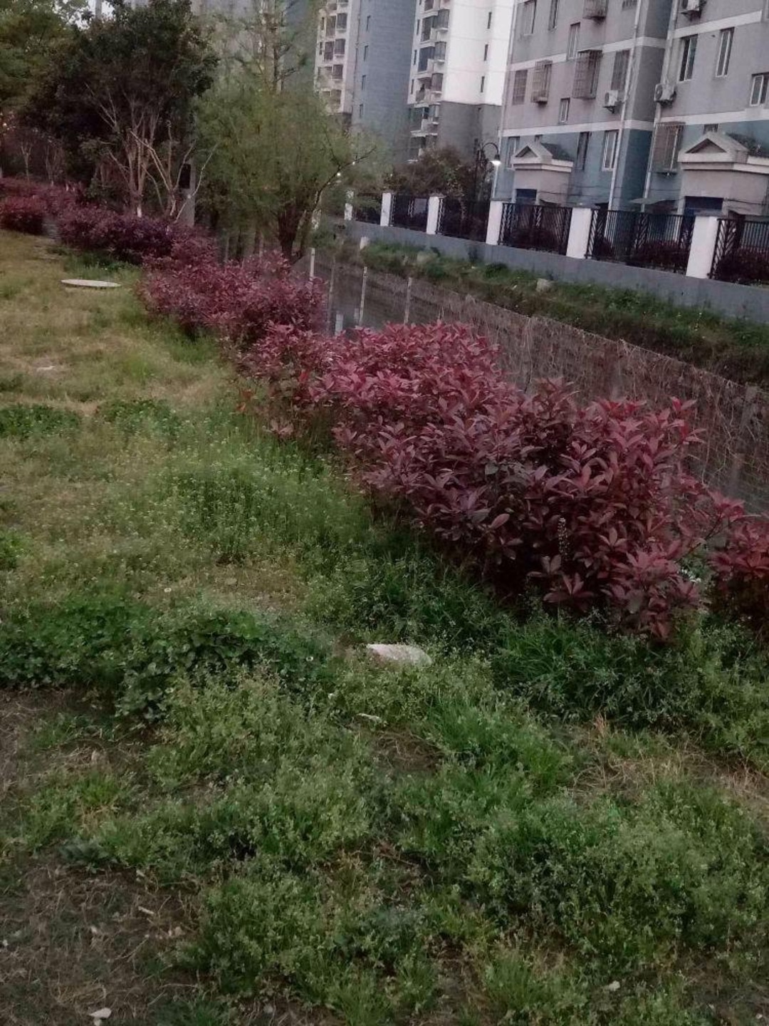 苏州吴逸花园二手房房源图片