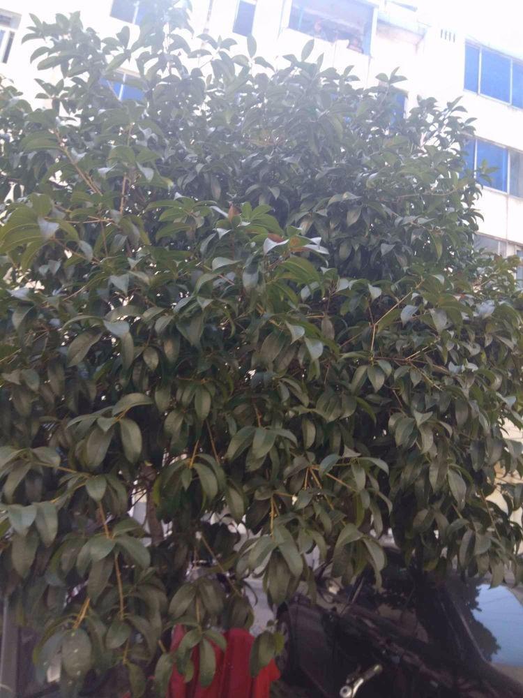 苏州先奇园北区二手房房源图片