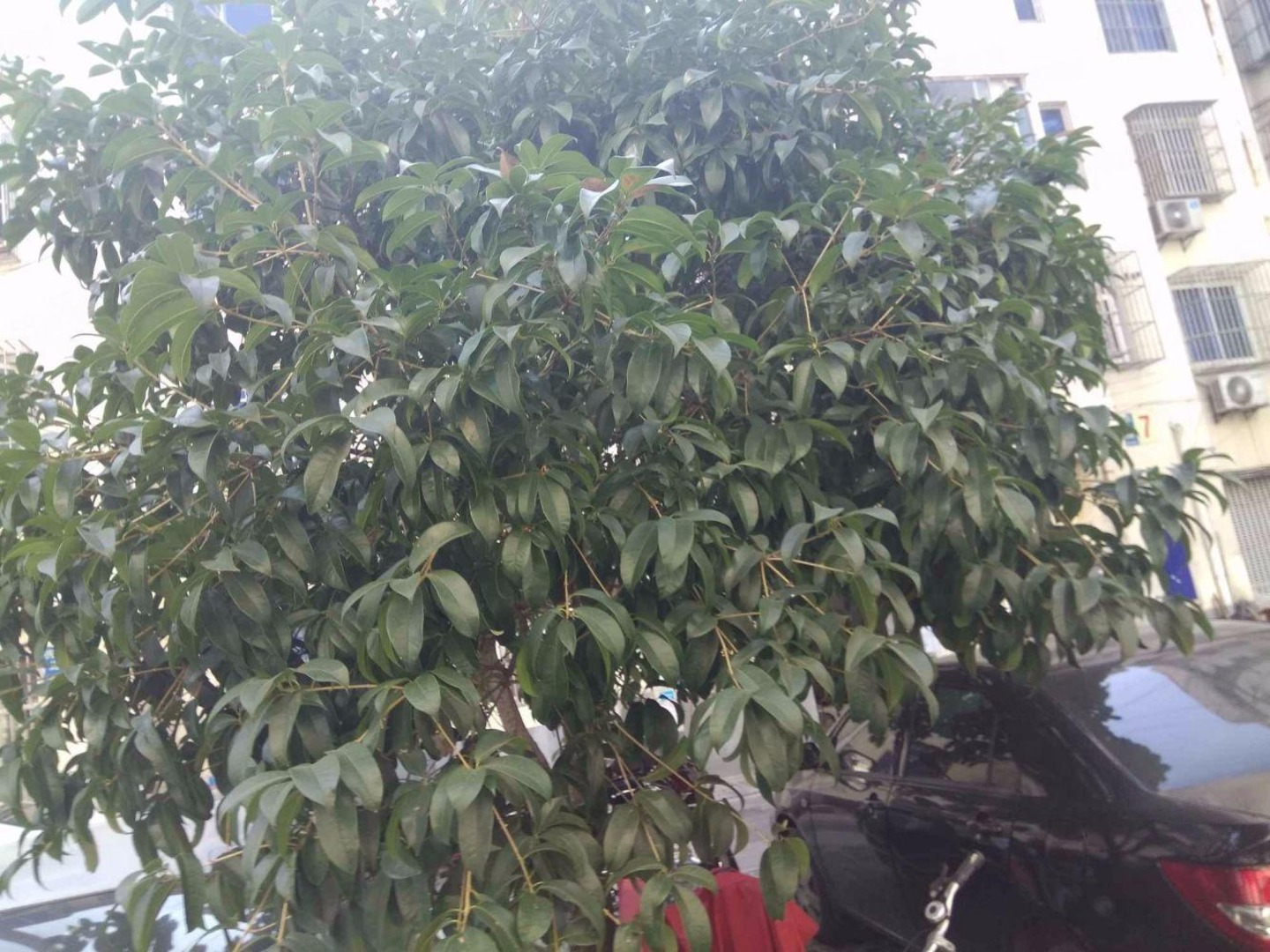 苏州先奇园北区二手房房源图片