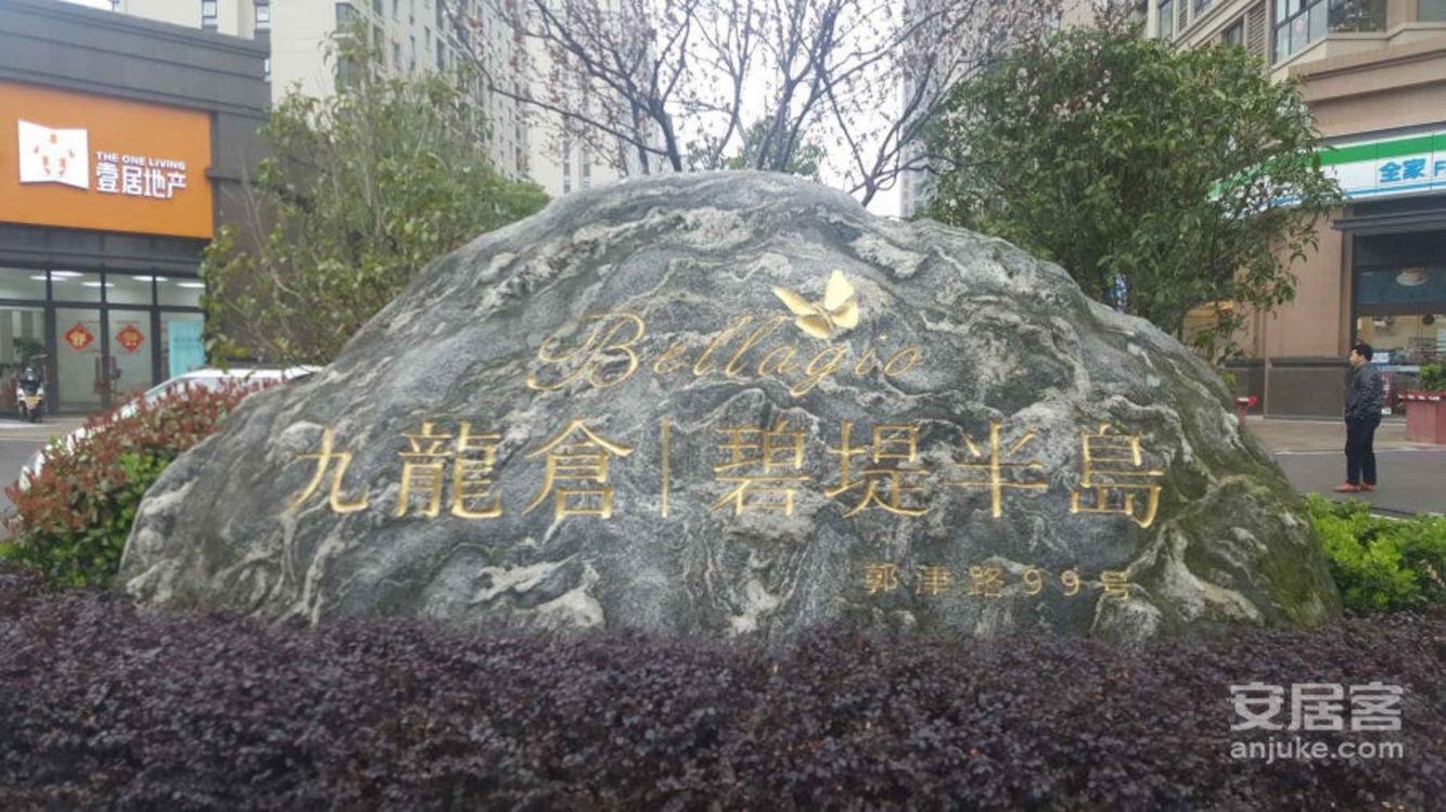 苏州九龙仓碧堤雅苑二手房房源图片