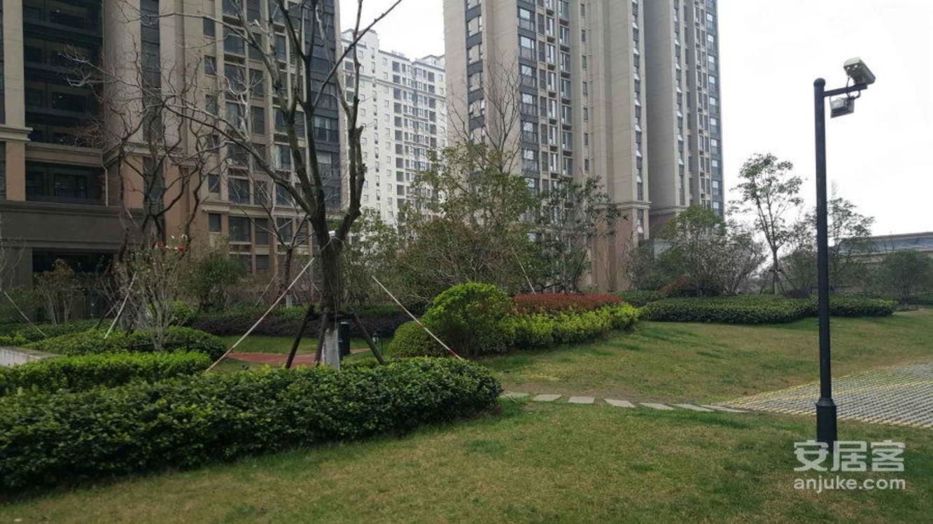 苏州九龙仓碧堤雅苑二手房房源图片