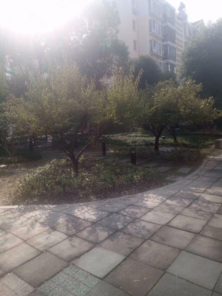 苏州嘉宝花园爱汀苑二手房房源图片