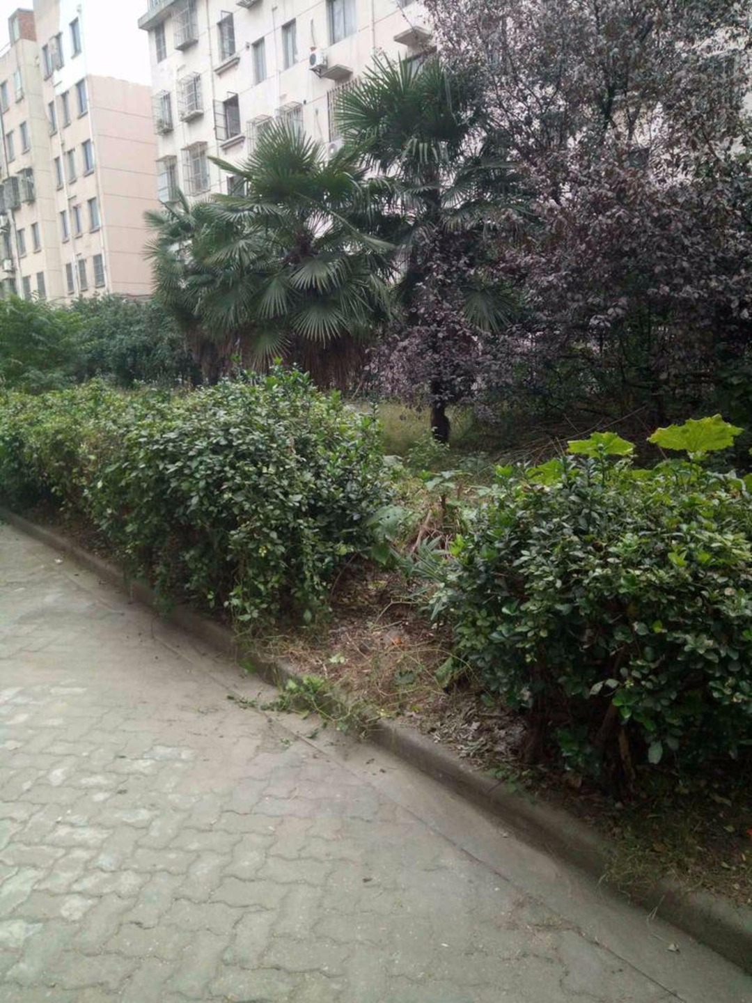 苏州南华公寓东区二手房房源图片