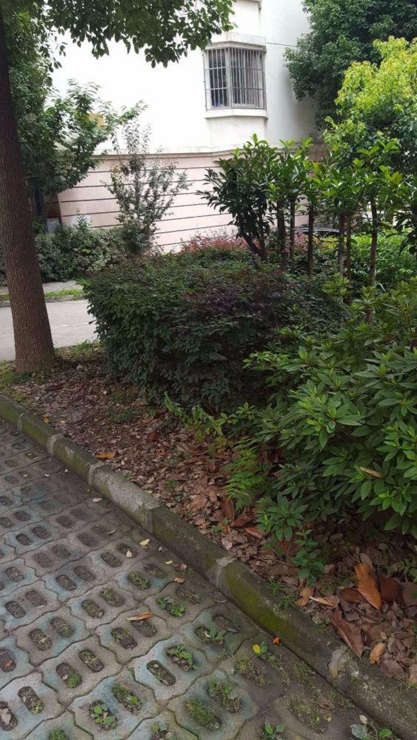 苏州盘蠡花园二手房房源图片