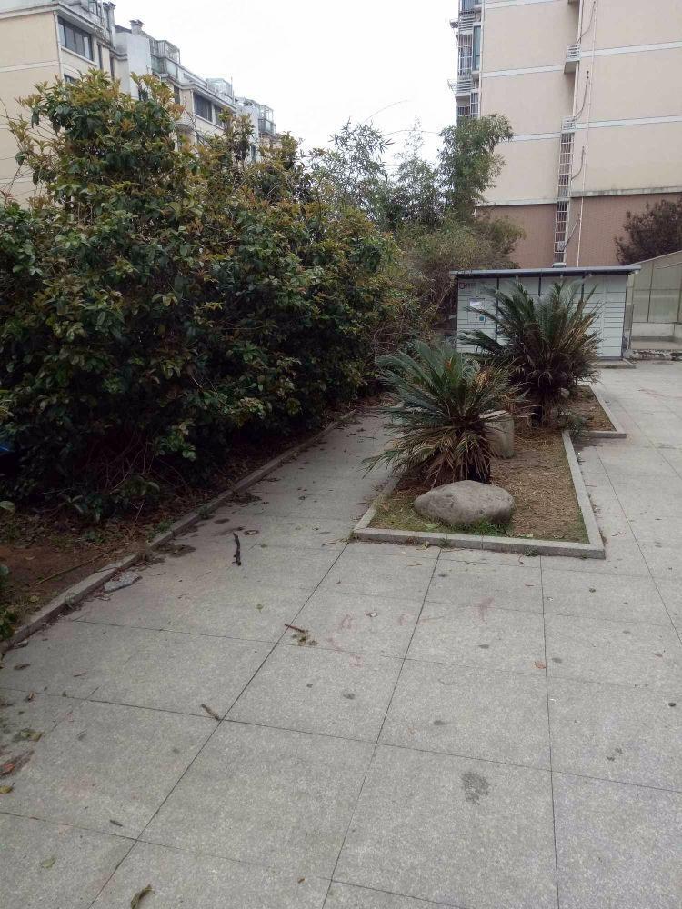 苏州南城丽景二手房房源图片