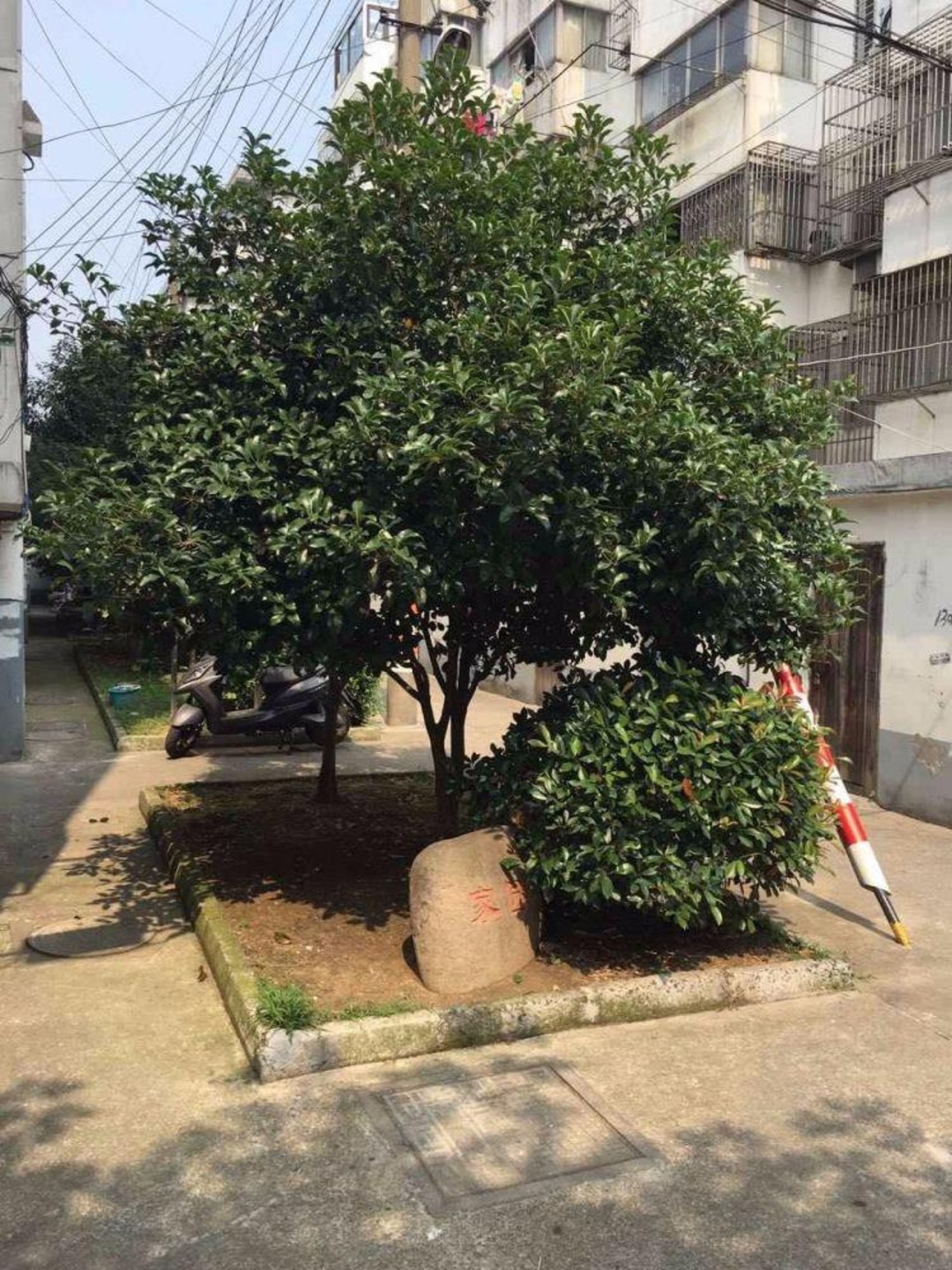 苏州水香七村二手房房源图片