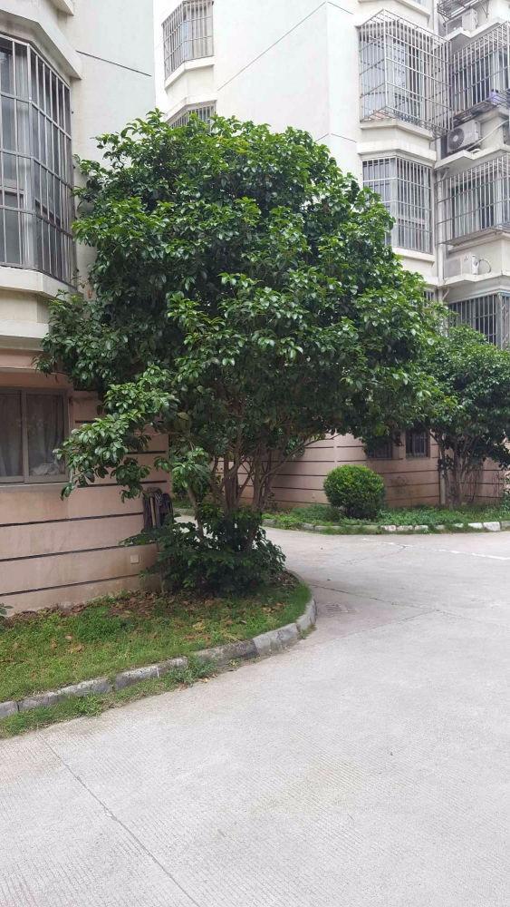 苏州盘蠡花园二手房房源图片