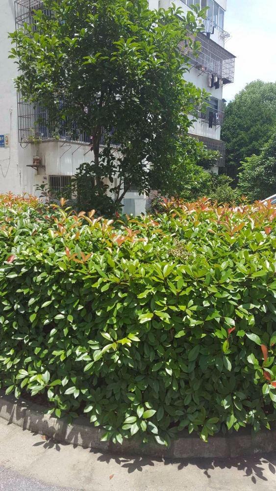 苏州盘蠡新村盘蠡村二手房房源图片
