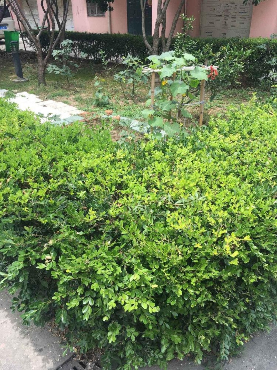 苏州迎春路733号小区二手房房源图片