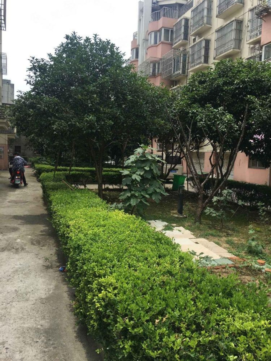 苏州迎春路733号小区二手房房源图片