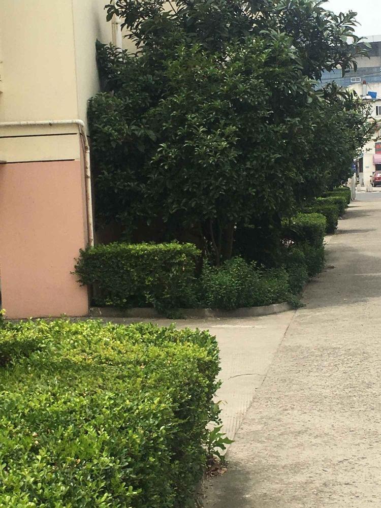 苏州迎春路733号小区二手房房源图片