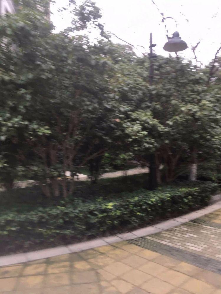 苏州胥江岸花园二手房房源图片