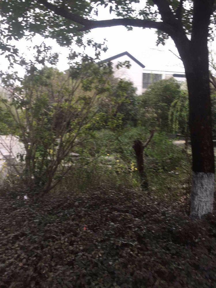苏州胥江岸花园二手房房源图片