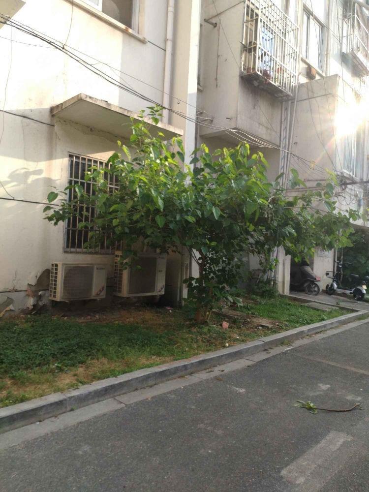 苏州吴中东路102号小区二手房房源图片