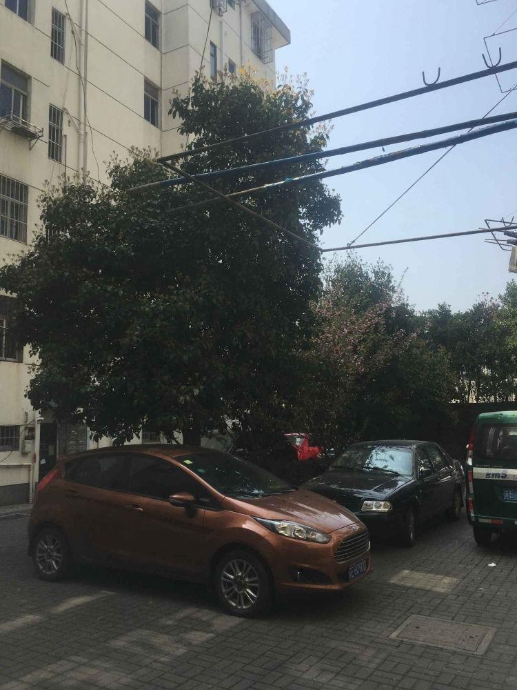 苏州内马路14-16号小区二手房房源图片