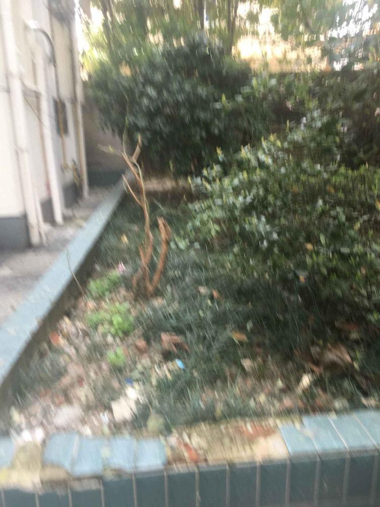 苏州内马路14-16号小区二手房房源图片