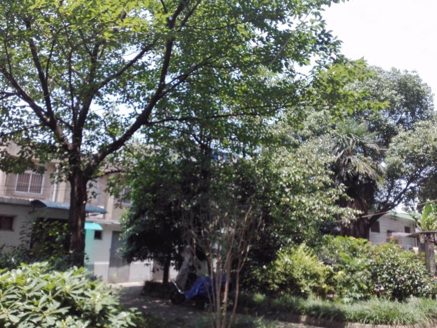 苏州上沙苑小区二手房房源图片