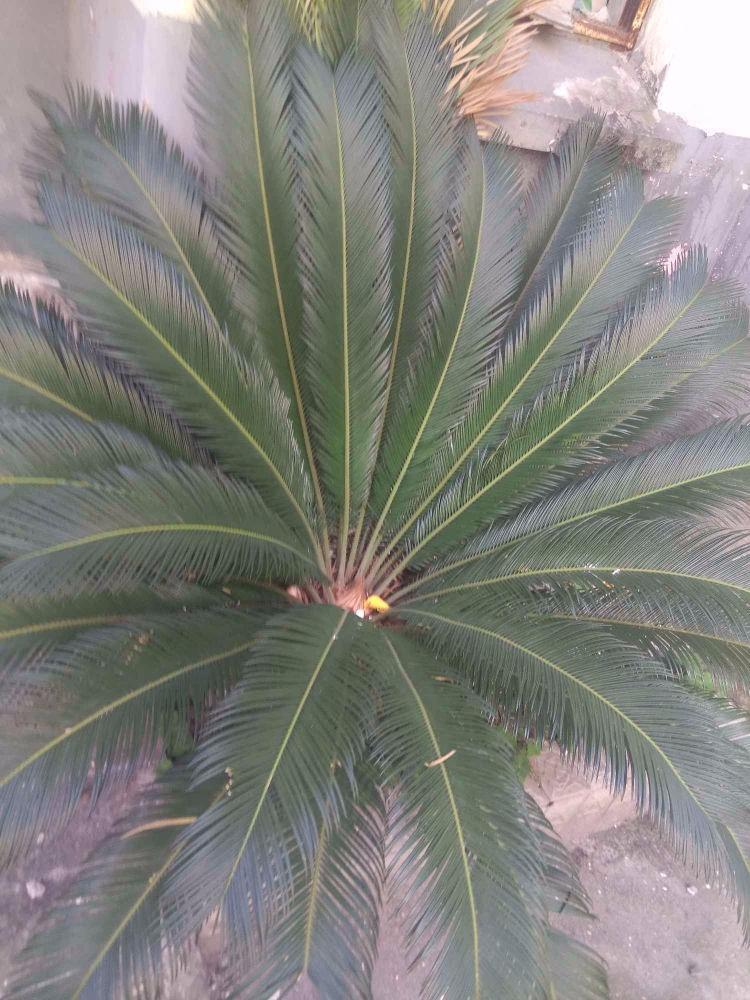 苏州水香街266,268,270号小区二手房房源图片