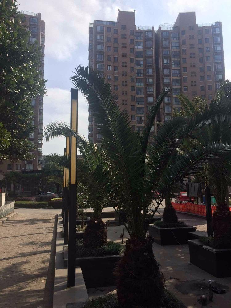 苏州S半岛清水湾花园二手房房源图片