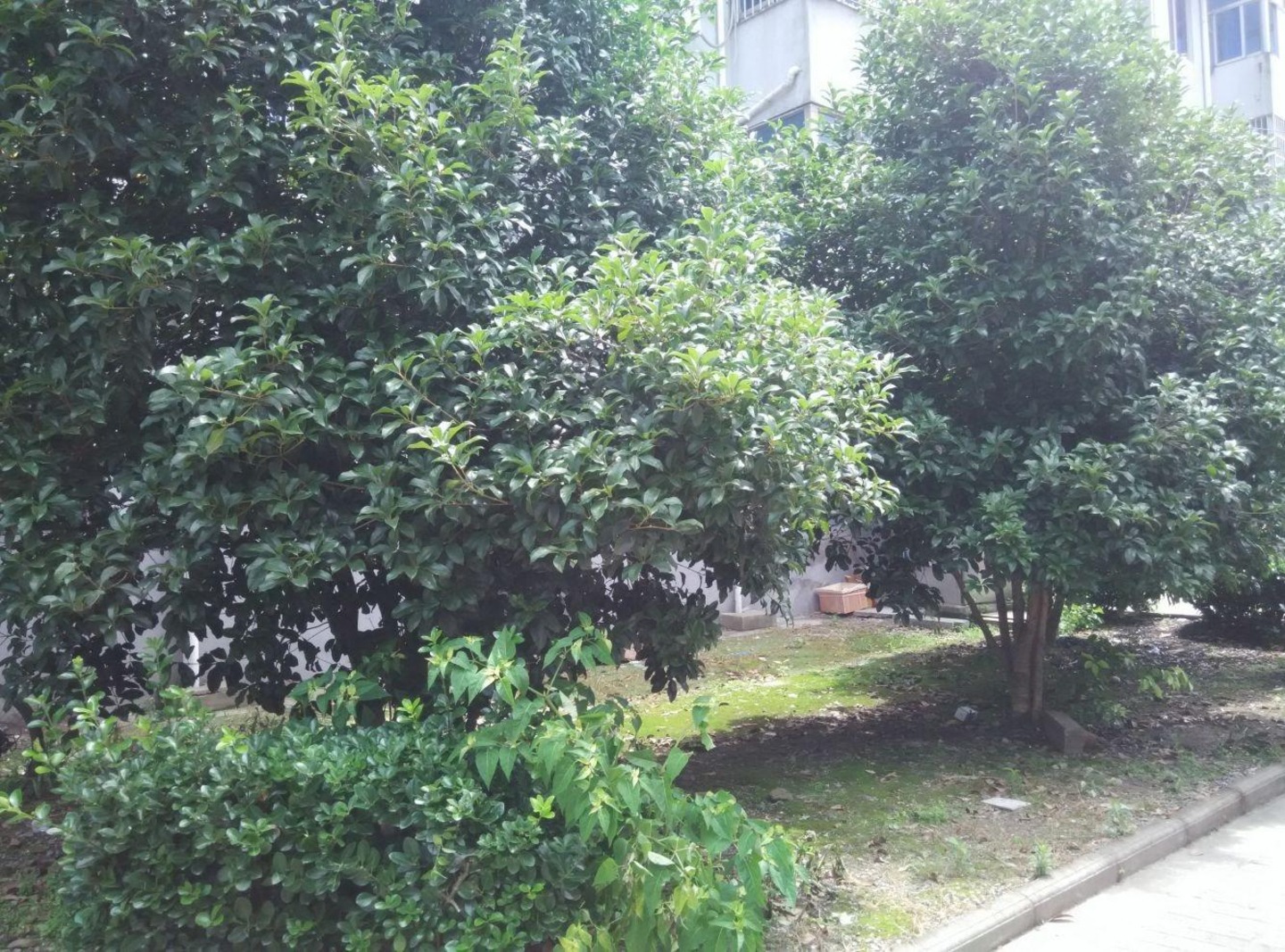 苏州景德路500号小区二手房房源图片