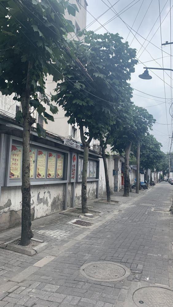 苏州宜多宾巷15号小区二手房房源图片