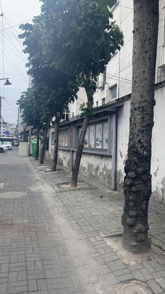 苏州宜多宾巷15号小区二手房房源图片