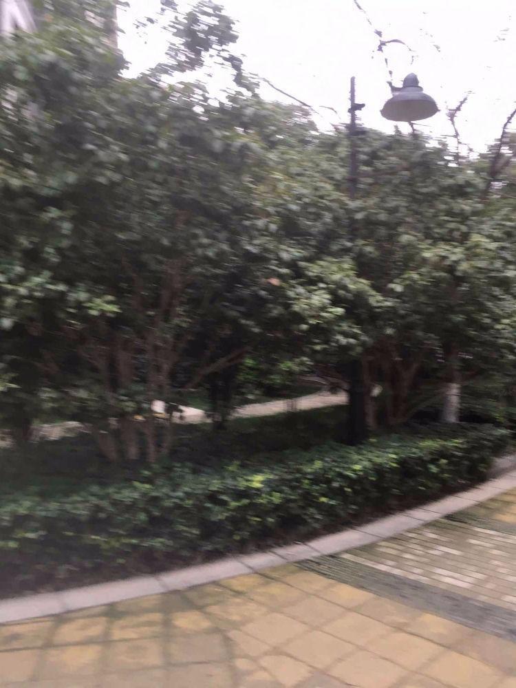 苏州胥江岸花园二手房房源图片