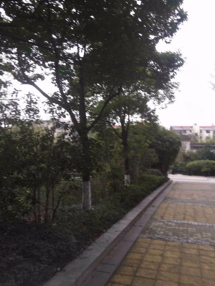 苏州胥江岸花园二手房房源图片