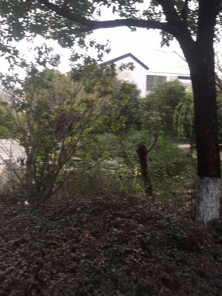 苏州胥江岸花园二手房房源图片