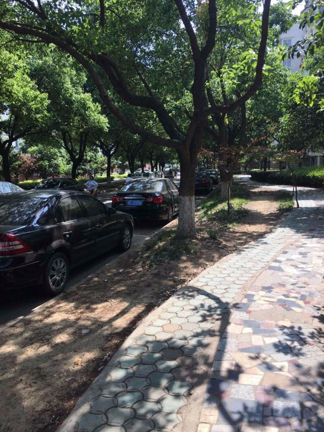 苏州新康花园金碧苑二手房房源图片