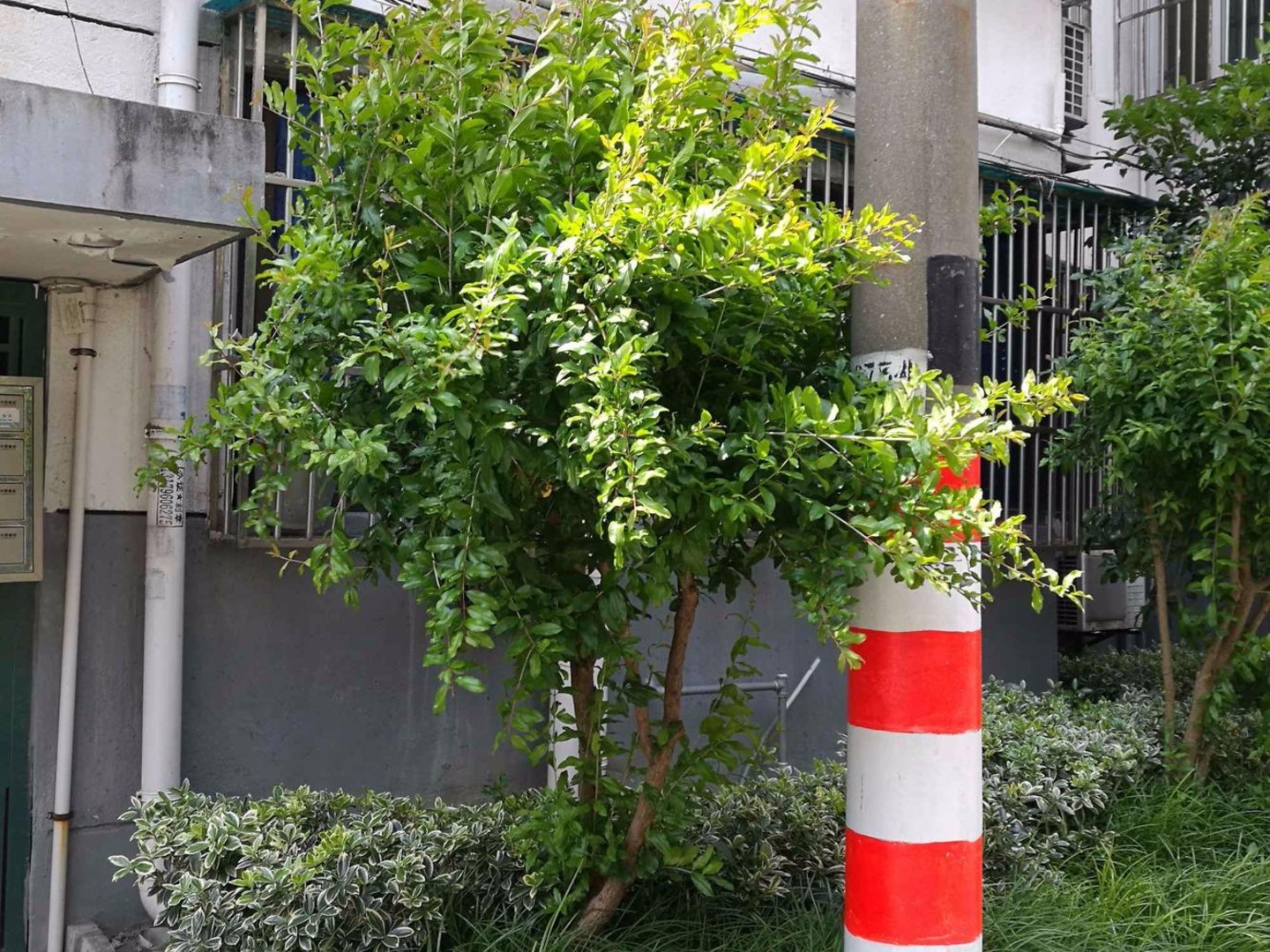 苏州东二路小区二手房房源图片