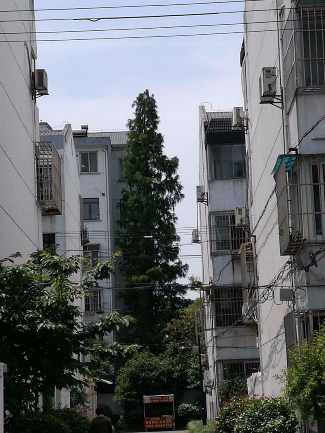 苏州东二路小区二手房房源图片